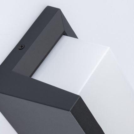 LED Kültéri fali lámpa NEELY 1xE27/9W/230V 4000K IP54 antracit