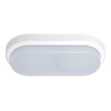 LED Kültéri fali lámpa OVAL LED/18W/230V IP54
