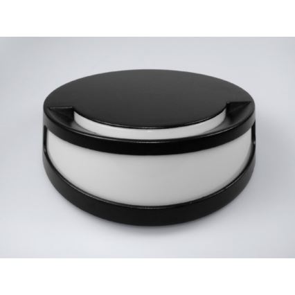 LED Kültéri fali lámpa REES LED/10W/230V IP54 3500K fekete