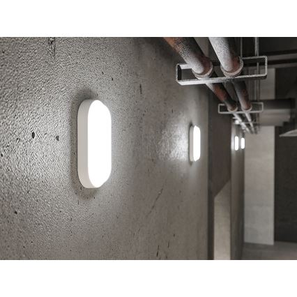 LED kültéri fali lámpatest LED/12W/230V IP54 fehér