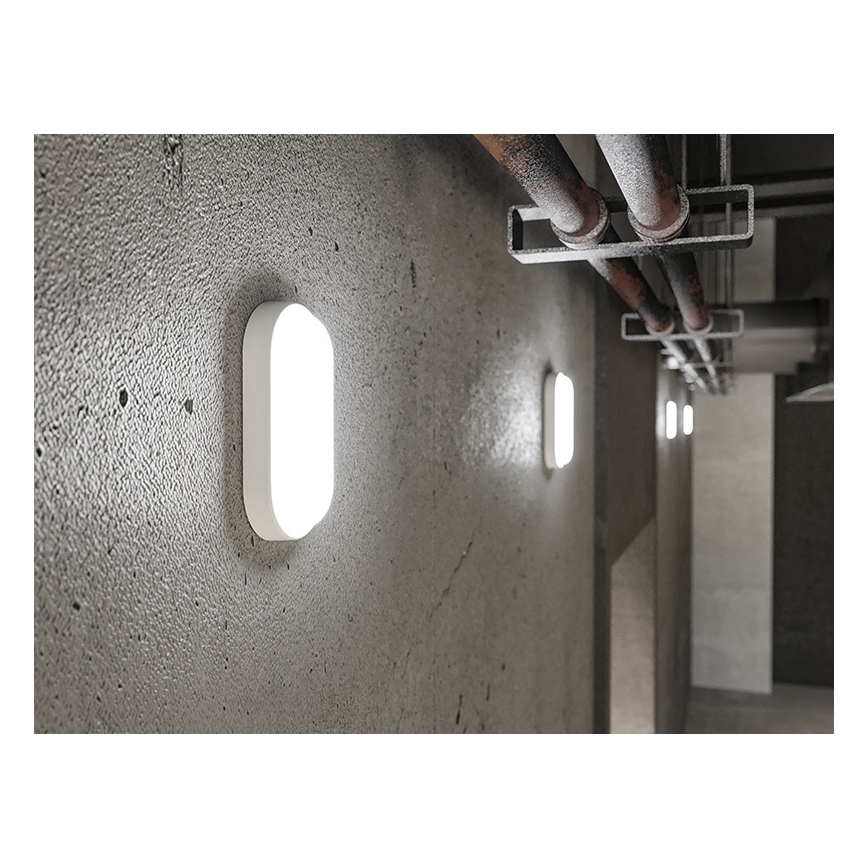 LED kültéri fali lámpatest LED/12W/230V IP54 fehér