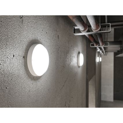 LED kültéri fali lámpatest LED/18W/230V IP54 fehér