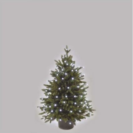 LED kültéri fényfüzér 80 LED / 13 m, IP44, hideg fehér