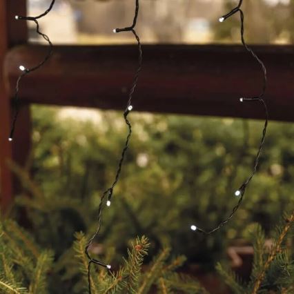 LED Kültéri karácsonyi fényfüzér 100xLED/2,5x0,9m IP44 hideg fehér