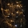 LED Kültéri karácsonyi fényfüzér STANDART 2,5 m 100xLED/1,2W/230V IP44