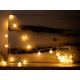 LED Kültéri karácsonyi lánc CHERRY 40xLED/3,6W/230V IP44