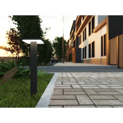 LED Kültéri lámpa BARI LED/10W/230V 4000K 60 cm IP54 antracit