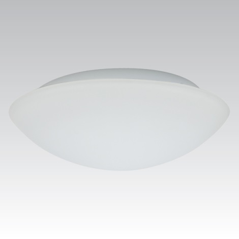 LED kültéri lámpa KAROLINA LED SMD/25W/230V opál üveg IP44