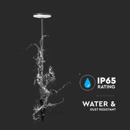 LED Kültéri lámpa LED/12W/230V 4000K IP65 antracit