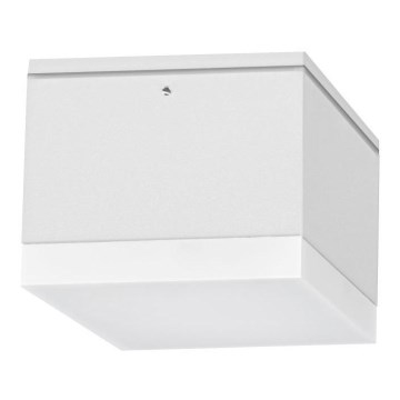 LED Kültéri mennyezeti lámpa BRUNO LED/10W/230V IP54