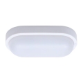 LED Kültéri mennyezeti lámpa LED/13W/230V IP54