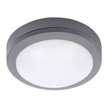 LED Kültéri mennyezeti lámpa LED/13W/230V IP54