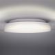 LED Kültéri mennyezeti lámpa LED/15W/230V IP54
