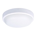 LED Kültéri mennyezeti lámpa LED/20W/230V IP54
