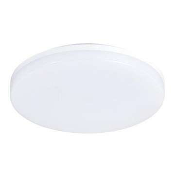 LED Kültéri mennyezeti lámpa LED/24W/230V IP54