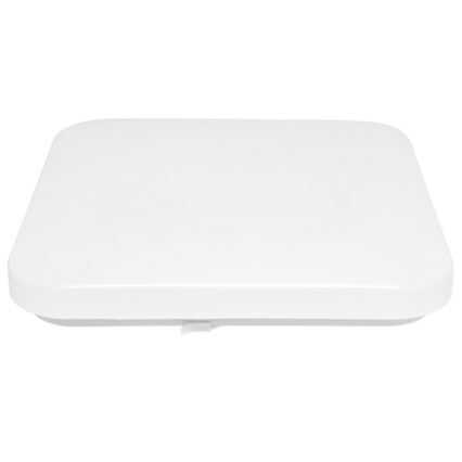 LED Kültéri mennyezeti lámpa LUKA LED/42W/230V IP44