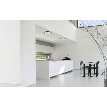 LED Kültéri mennyezeti lámpa NYMPHEA LED/32W/230V IP54 3000K