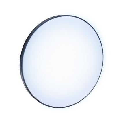 LED Kültéri mennyezeti lámpa NYMPHEA LED/32W/230V IP54 6000K