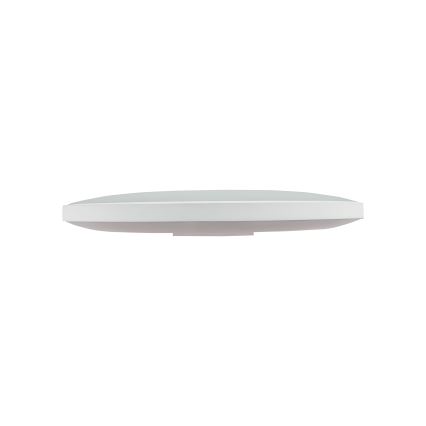 LED Kültéri mennyezeti lámpa NYMPHEA LED/32W/230V IP54 6000K