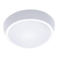 LED kültéri mennyezeti lámpatest LED/18W/230V  IP65