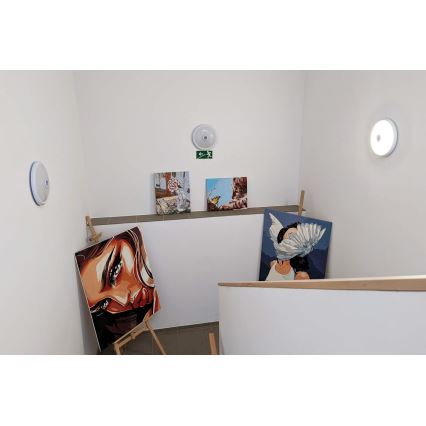 LED kültéri mennyezeti lámpatest mozgás- és alkonyatérzékelővel LED/16W/230V átm. 28,5 cm IP54 fehér