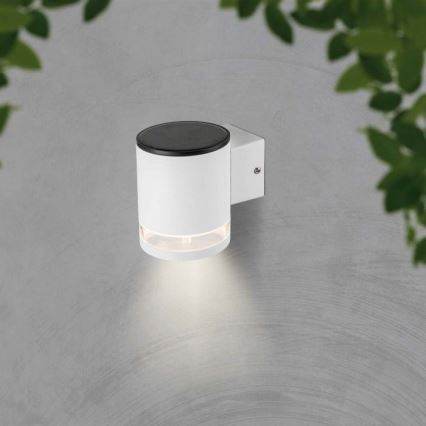 LED Kültéri napelemes fali lámpa LED/1W/3,7V 3000K IP54 1200 mAh fehér