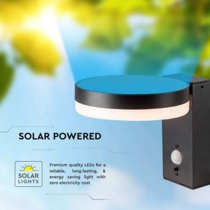 LED kültéri napelemes fali lámpa érzékelővel LED/5,5W/3,7V 3000K IP54 2000 mAh