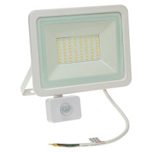 LED Kültéri reflektor érzékelővel NOCTIS LUX 2 LED/50W/230V 4000K IP44 fehér