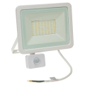 LED Kültéri reflektor érzékelővel NOCTIS LUX 2 LED/50W/230V 6000K IP44 fehér