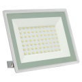 LED Kültéri reflektor érzékelővel NOCTIS LUX 3 LED/50W/230V IP65 fehér