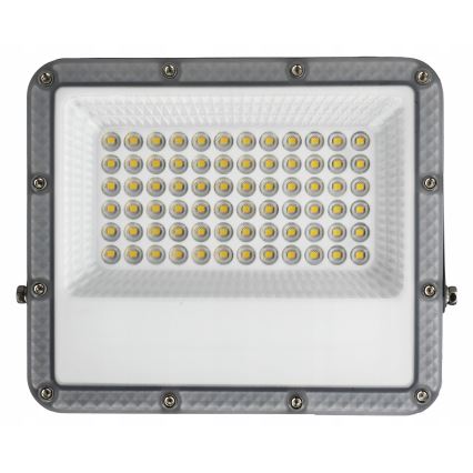 LED kültéri reflektor LED/50W/230V 4500K IP65 szürke