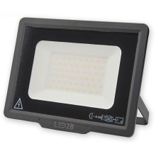 LED Kültéri reflektor LED/50W/230V 6500K IP65
