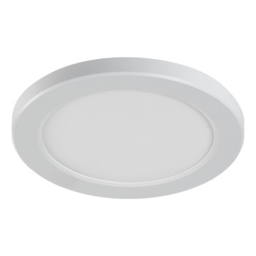 LED mennyezeti/álmennyezeti lámpatest 2 az 1-ben ERGA LED/17W/230V 3000/4000/6500K fehér