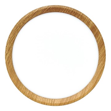 LED mennyezeti lámpa, 18 W, 230 V, 3000/4000/6500 K, átm. 23 cm, bézs