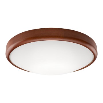LED mennyezeti lámpa 1xLED/24W/230V