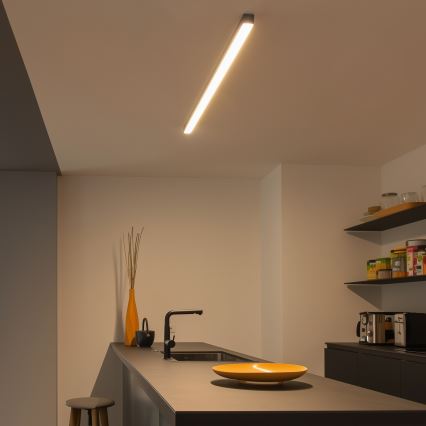 LED mennyezeti lámpa ALLDAY BASIC LED/20/30/40W/230V 2700/4000/6000K 120 cm fekete