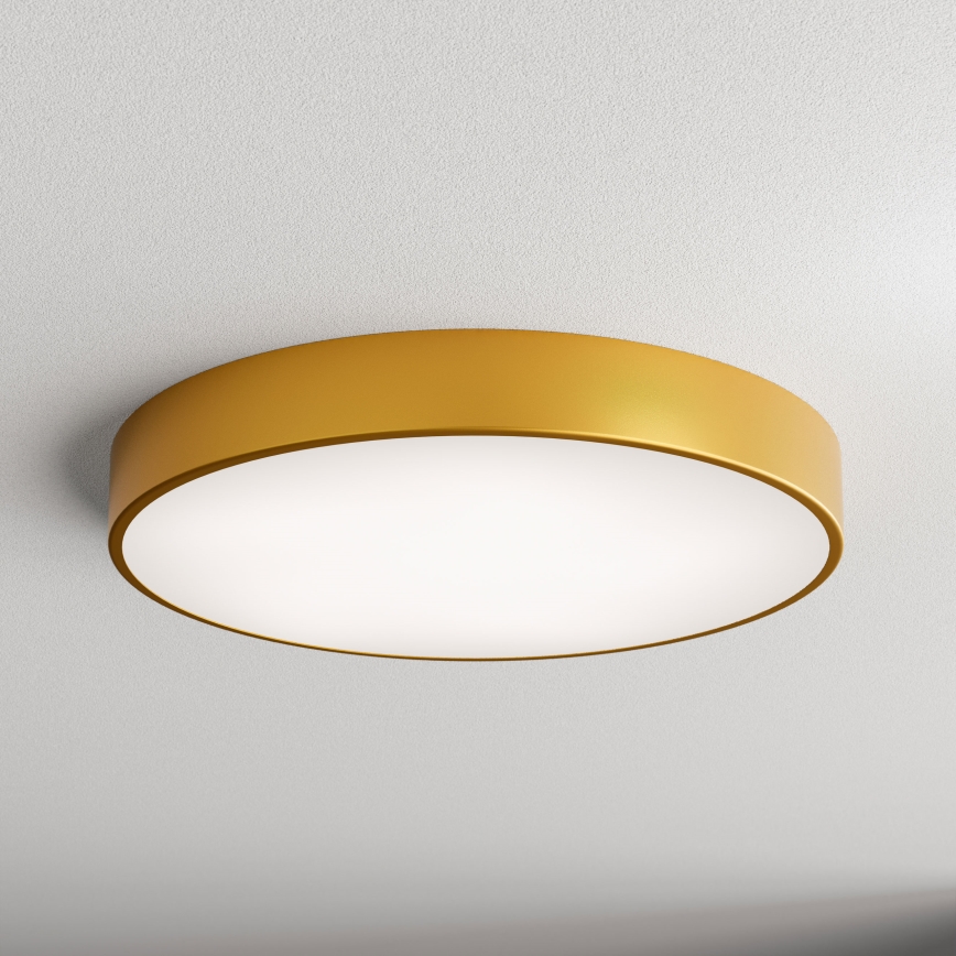 LED Mennyezeti lámpa CLEO LED/69W/230V 4000K átm. 60 cm arany