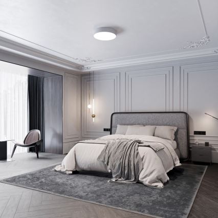 LED Mennyezeti lámpa CLEO LED/24W/230V 3000K átm. 30 cm szürke