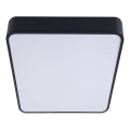 LED Mennyezeti lámpa FELIZ LED/50W/230V 4000K 40x60 cm fekete