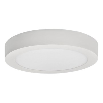 LED Mennyezeti lámpa FENIX LED/12W/230V 2800K átm. 17 cm