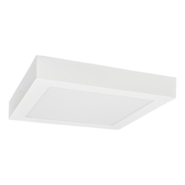 LED Mennyezeti lámpa FENIX LED/12W/230V 3800K 17 cm hó fehér