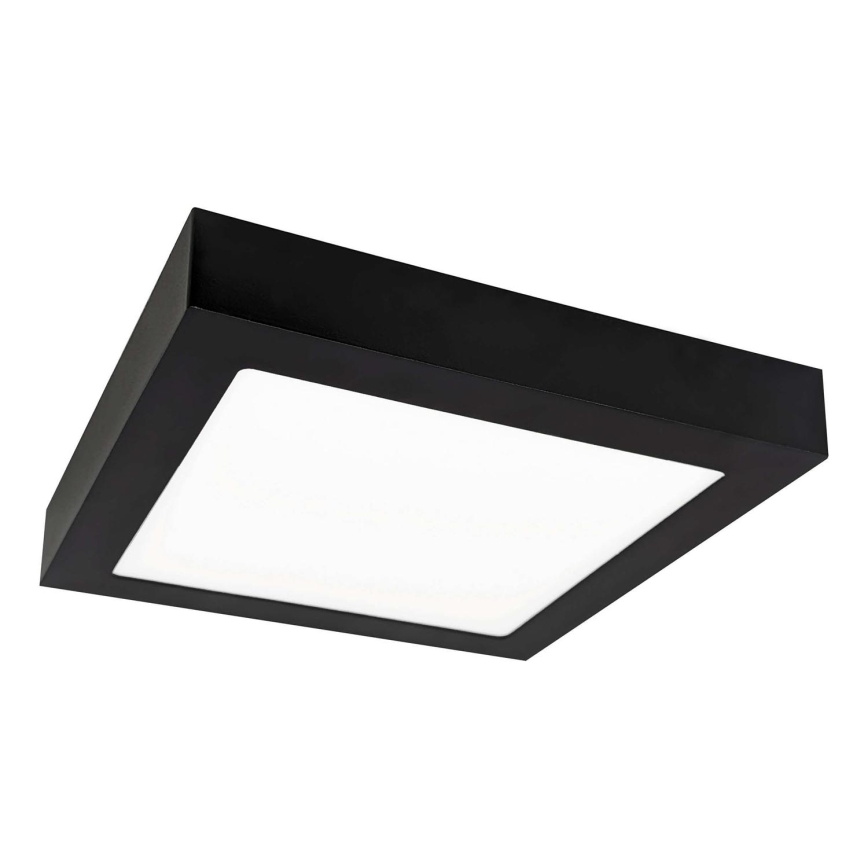 LED Mennyezeti lámpa FENIX LED/12W/230V 3800K 17 cm