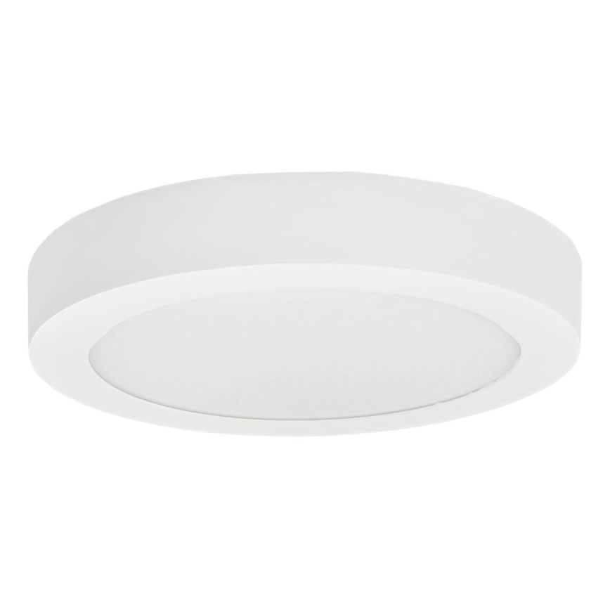 LED Mennyezeti lámpa FENIX LED/12W/230V 3800K átm. 17 cm hó fehér