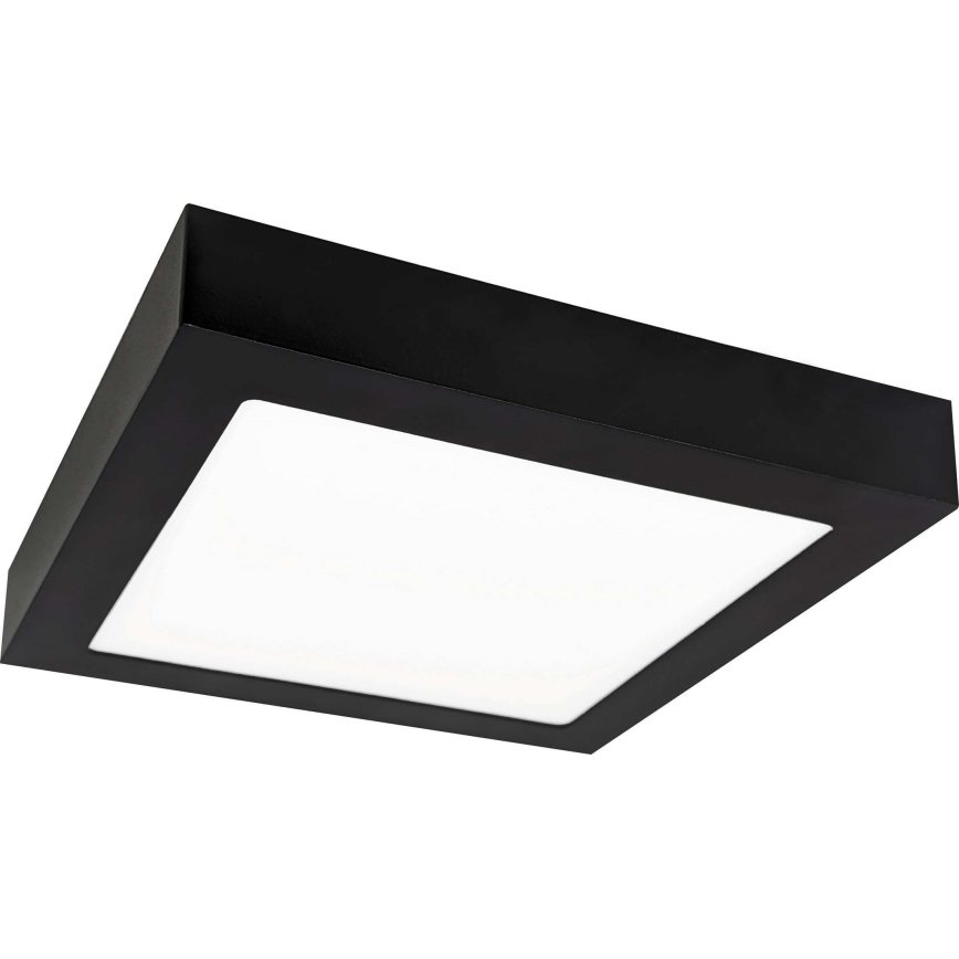 LED Mennyezeti lámpa FENIX LED/18W/230V 2800K 22,5 cm