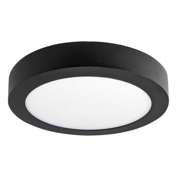 LED Mennyezeti lámpa FENIX LED/18W/230V 2800K