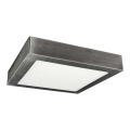 LED Mennyezeti lámpa FENIX LED/18W/230V 3800K 22,5 cm