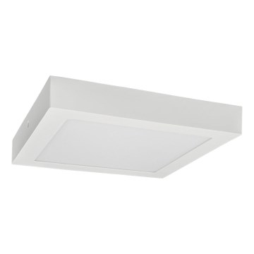 LED Mennyezeti lámpa FENIX LED/24W/230V 3800K 29,8 cm