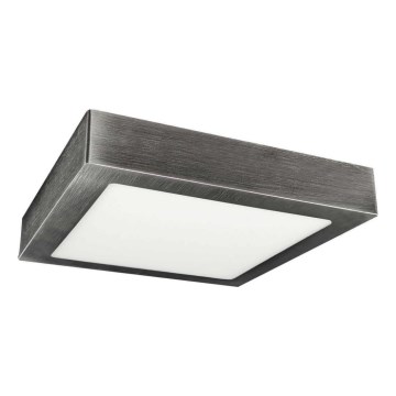 LED Mennyezeti lámpa FENIX LED/24W/230V 3800K 29,8 cm