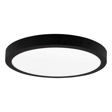 LED Mennyezeti lámpa FENIX LED/24W/230V 3800K