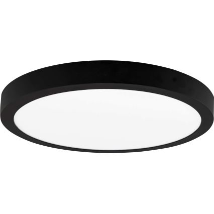 LED Mennyezeti lámpa FENIX LED/24W/230V 3800K